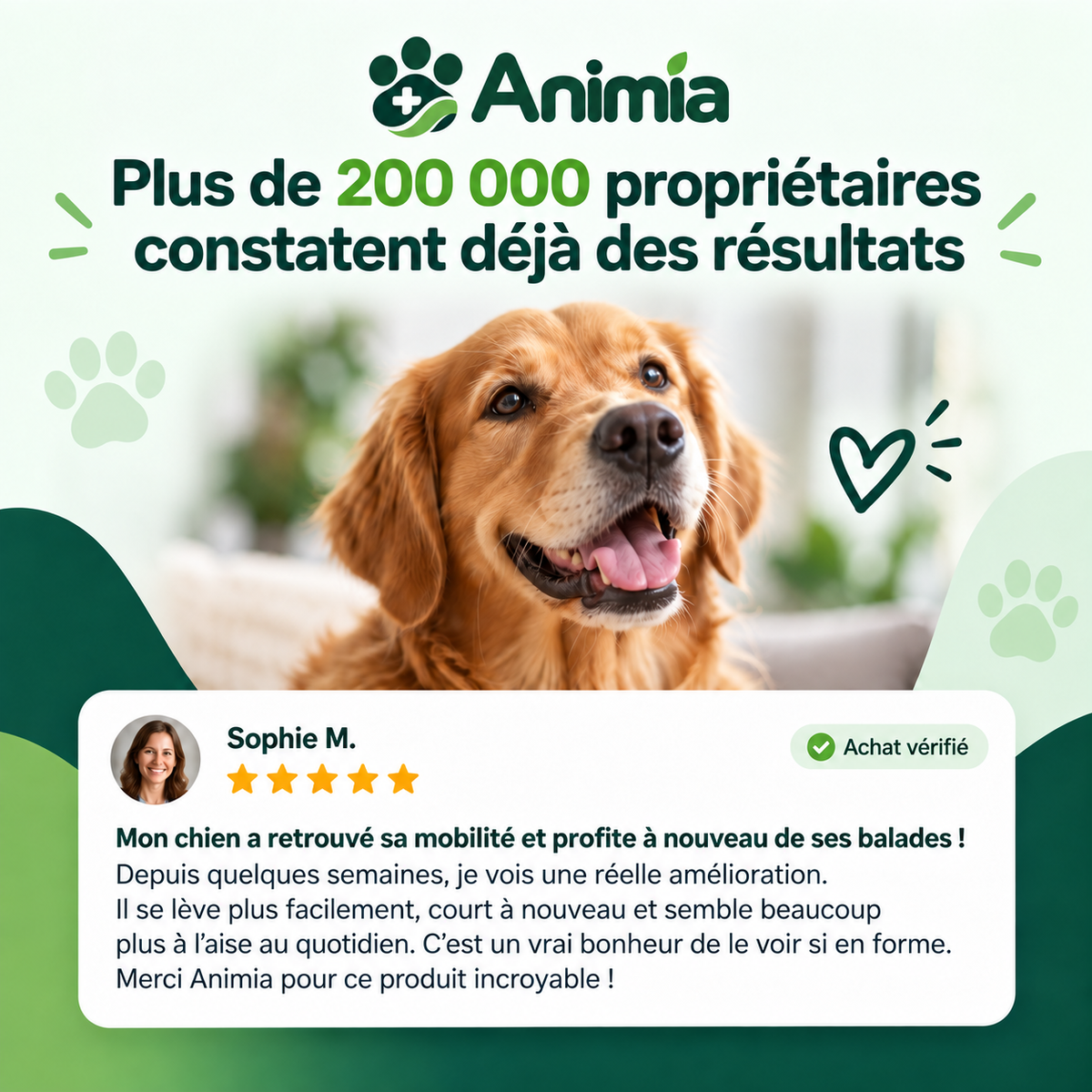 Bouchées Articulations & Mobilité pour Chiens