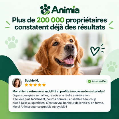 Bouchées Articulations & Mobilité pour Chiens