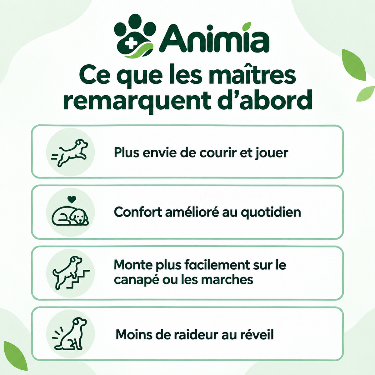 Bouchées Articulations & Mobilité pour Chiens