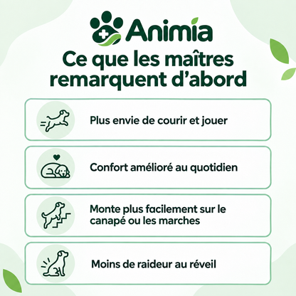 Bouchées Articulations & Mobilité pour Chiens