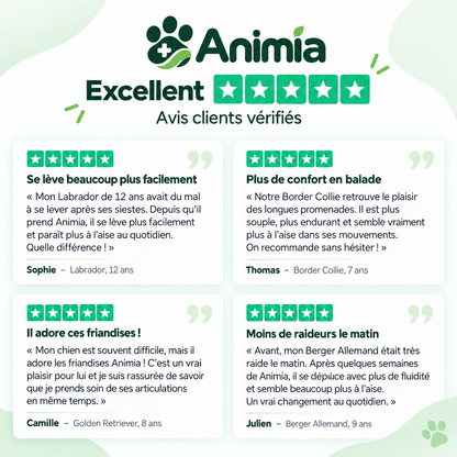 Bouchées Articulations & Mobilité pour Chiens