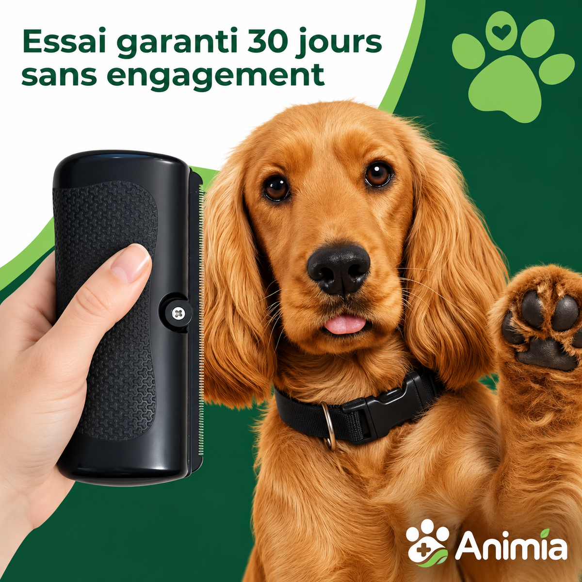 Brosse Toilettage Animia