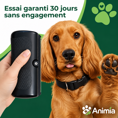 Brosse Toilettage Animia