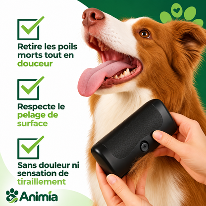 Brosse Toilettage Animia