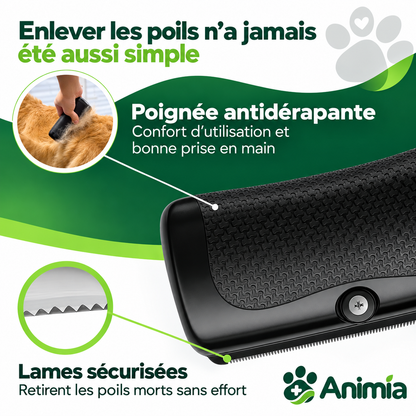 Brosse Toilettage Animia