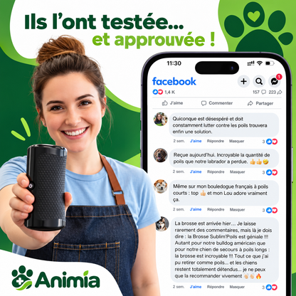 Brosse Toilettage Animia