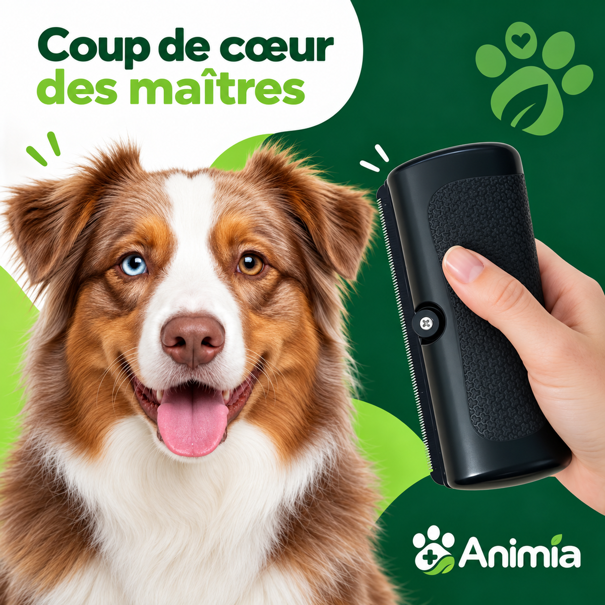 Brosse Toilettage Animia