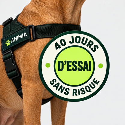 Harnais anti-traction pour chien Animia