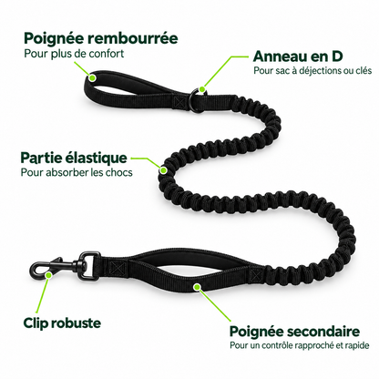 Harnais anti-traction pour chien Animia