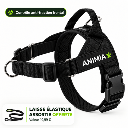 Harnais anti-traction pour chien Animia