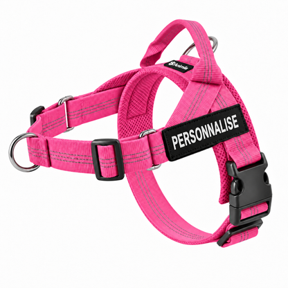Harnais anti-traction pour chien Animia