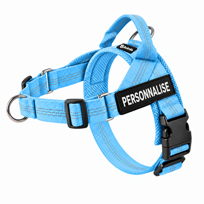 Harnais anti-traction pour chien Animia