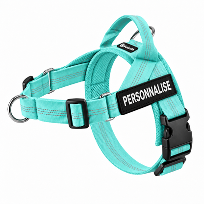 Harnais anti-traction pour chien Animia