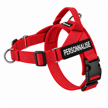 Harnais anti-traction pour chien Animia