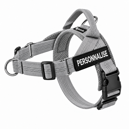Harnais anti-traction pour chien Animia