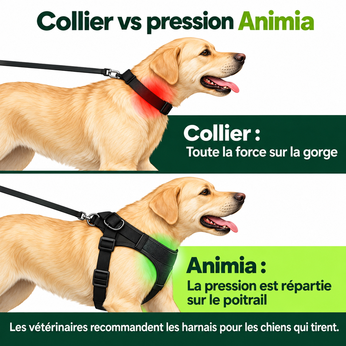 Harnais anti-traction pour chien Animia