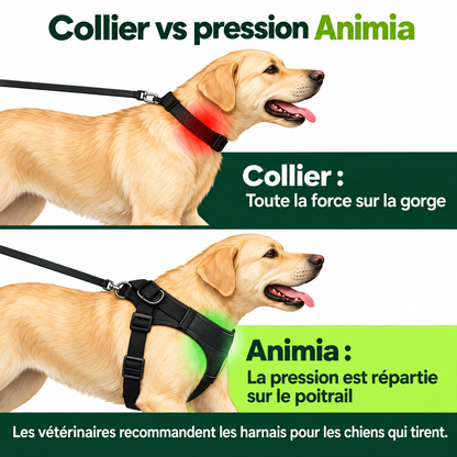 Harnais anti-traction pour chien Animia