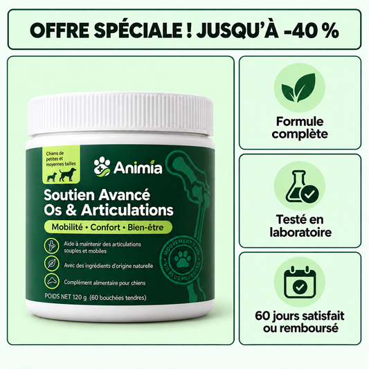 Bouchées Articulations & Mobilité pour Chiens